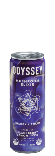 Odyssey Sparkling Blackberry Lemon Twist