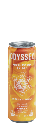 Odyssey Sparkling Orange Ginger